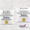 Graduation Diploma Pillow